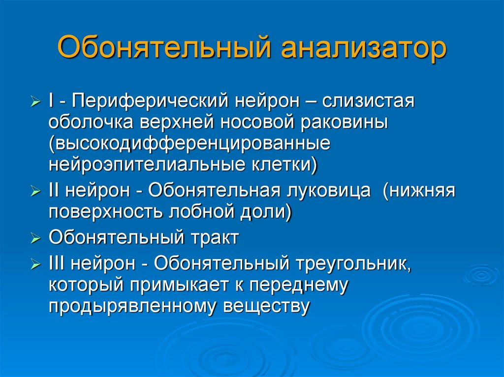 Обонятельный анализатор презентация 8 класс