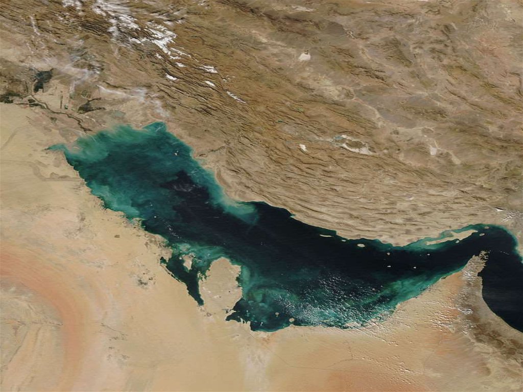 Температура воды в персидском. Акватория Персидского залива. Персидский залив. Персидский залив вода. Персидский залив цвет воды.