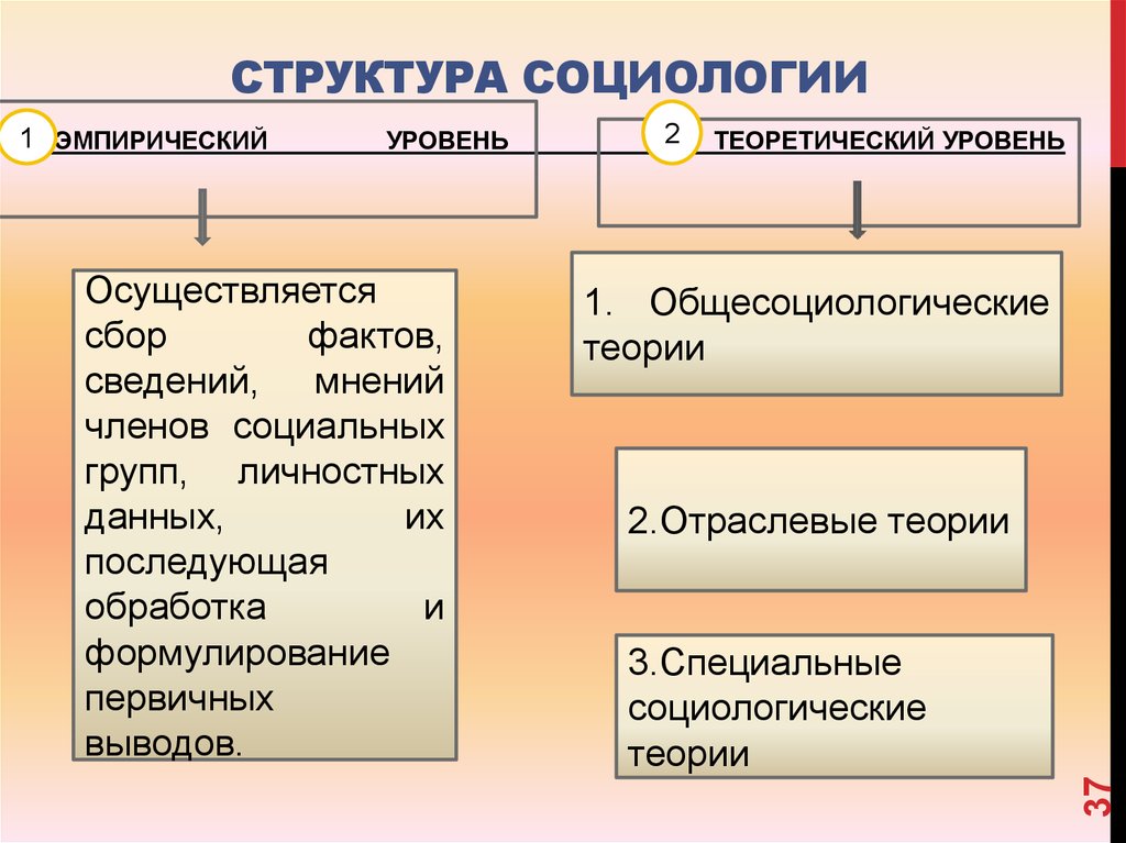 Структура социологии