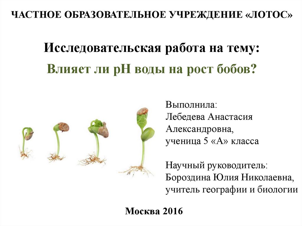 Влияет ли рост