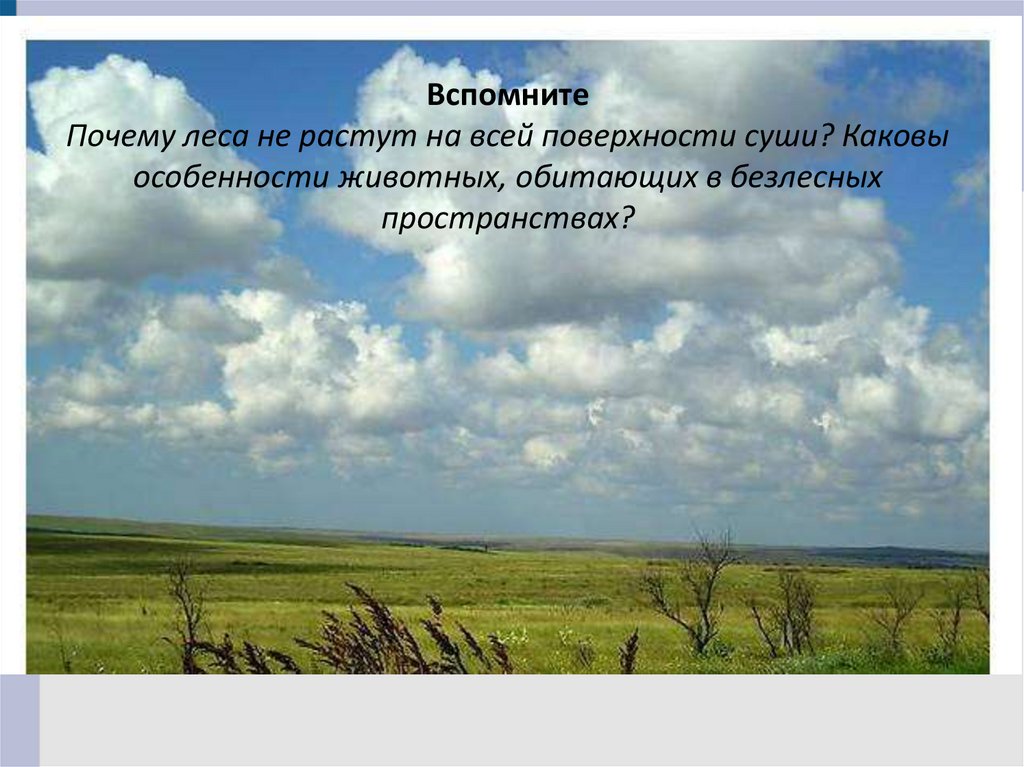 Жизнь в безлесных пространствах 6 класс география. Жизнь в безлесных пространствах 6 класс презентация. Южные безлесные зоны конспект. Безлесные Южные зоны особенности жилища.