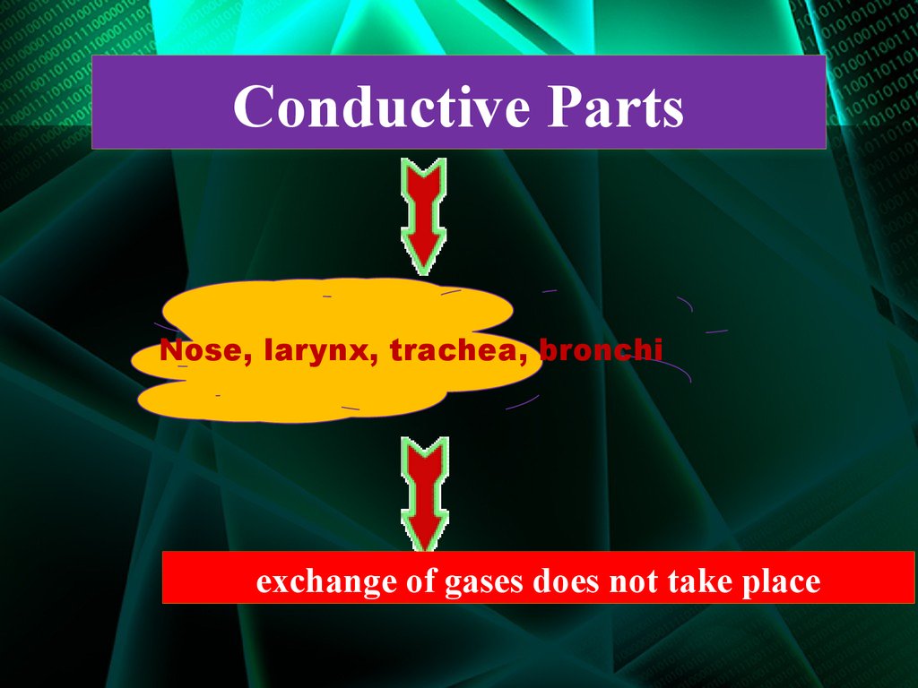 Conductive Parts