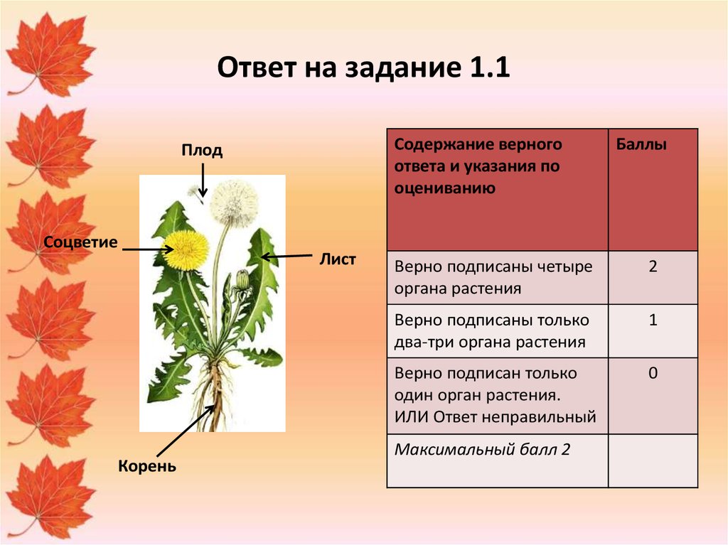 Верен лист