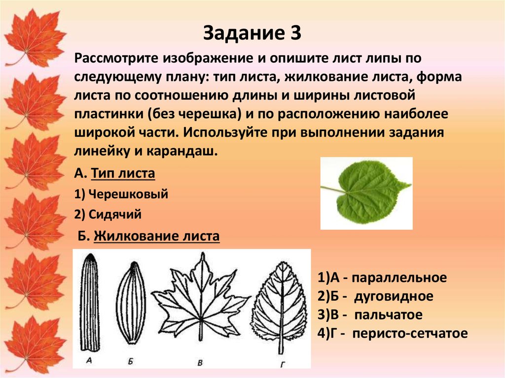 Форма листа сирени по биологии 6