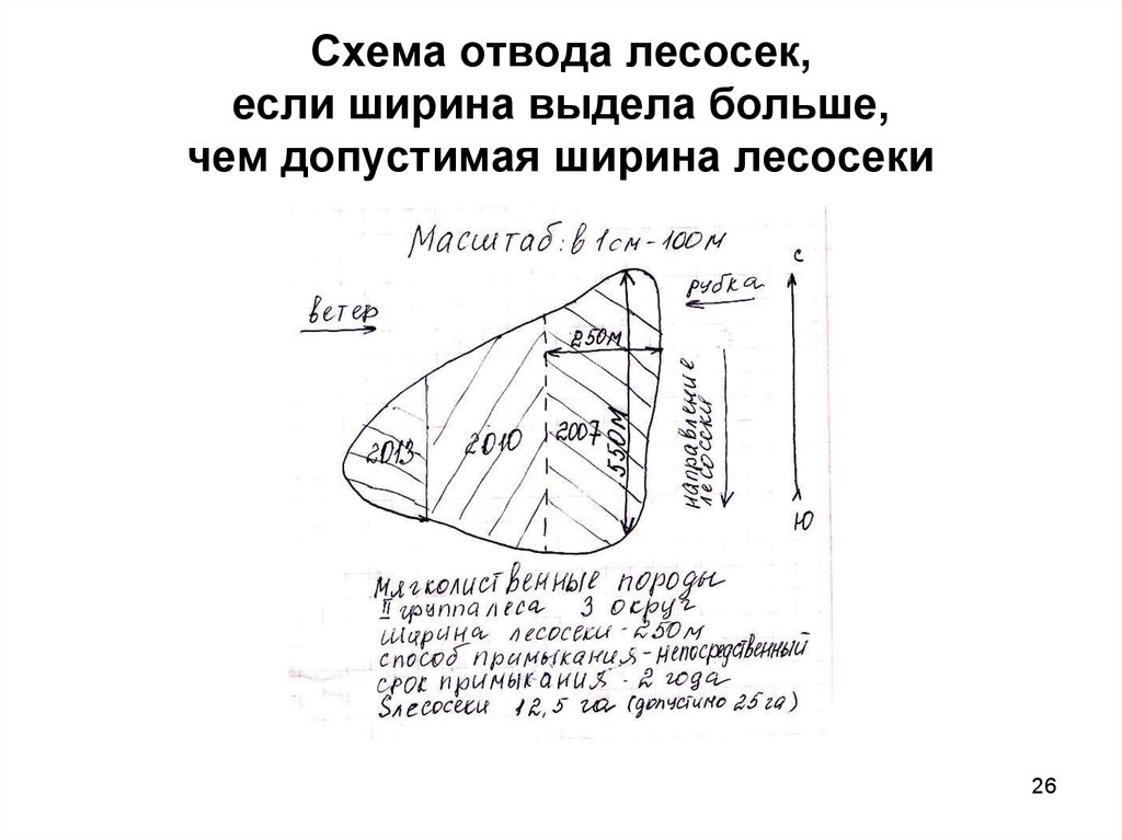 Схема отвода лесосек