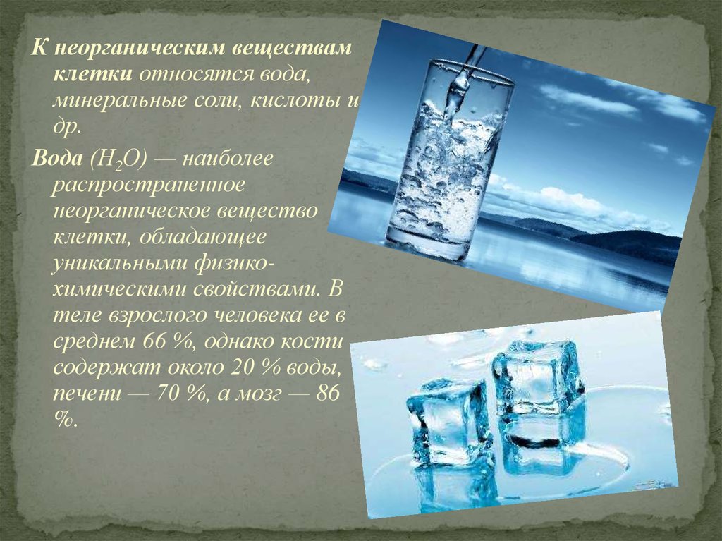 Неорганические вещества вода и минеральные соли. К неорганическим веществам относят. Неорганические вещества клетки вода. Вода неорганическое соединение. К органическим веществам клетки относятся вода.