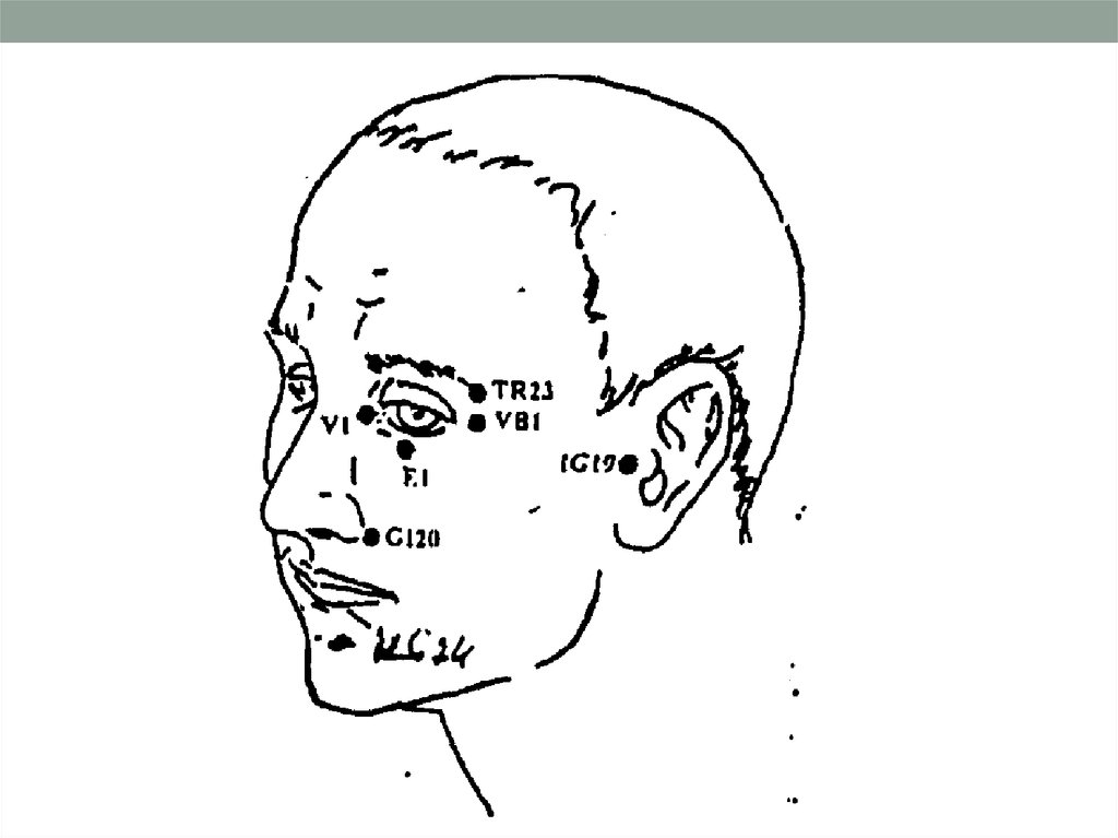 Тест нмо точечный массаж. Акупрессура подзатылочных мышц. Тормозной точечный массаж. Точечный массаж при алкогольном опьянении. Акупрессура при дерматите.