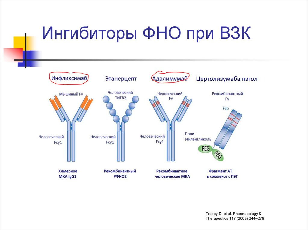 Фно это. Ингибиторы ФНО Альфа. Ингибиторы фактора некроза опухоли-Альфа (и-ФНО-?). Ингибиторы фактора некроза опухоли Альфа. Ингибиторы ФНО Альфа препараты.