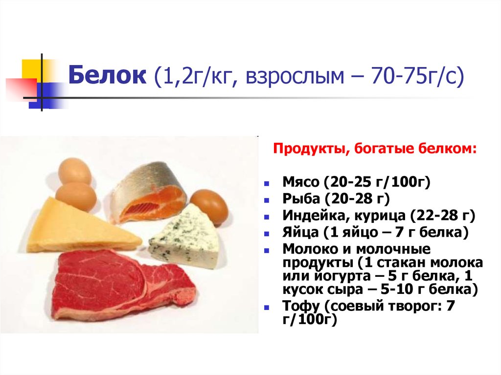 В каком мясе больше всего белков