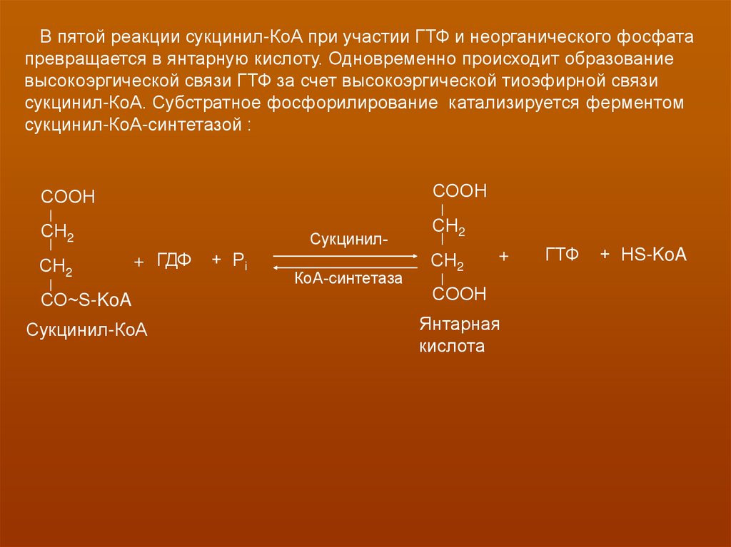 Реакция окисления происходит при. Реакция окисления янтарной кислоты. Образование янтарной кислоты. Сукцинил КОА реакции. Схемы реакции окисления янтарной кислоты.