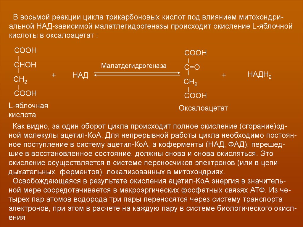 При полном окислении кислот образуется