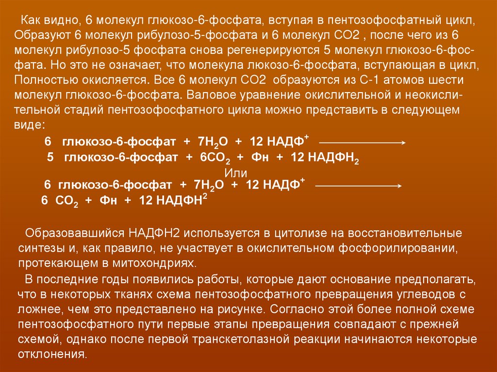 Вступать в цикл. НАДФ И НАДФН. НАДФН или надфн2. Как используется НАДФН. Надфн2 формула.