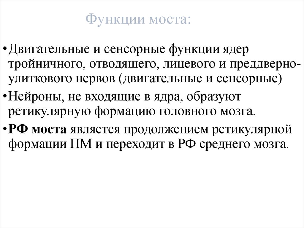 Функции моста и среднего мозга