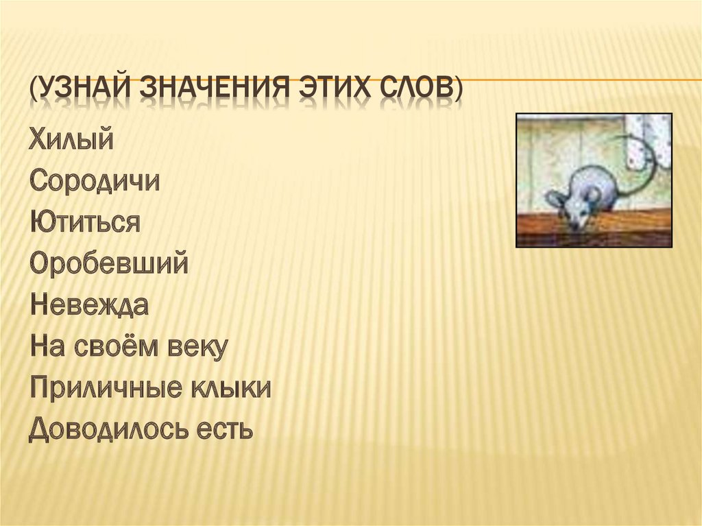 (узнай значения этих слов)