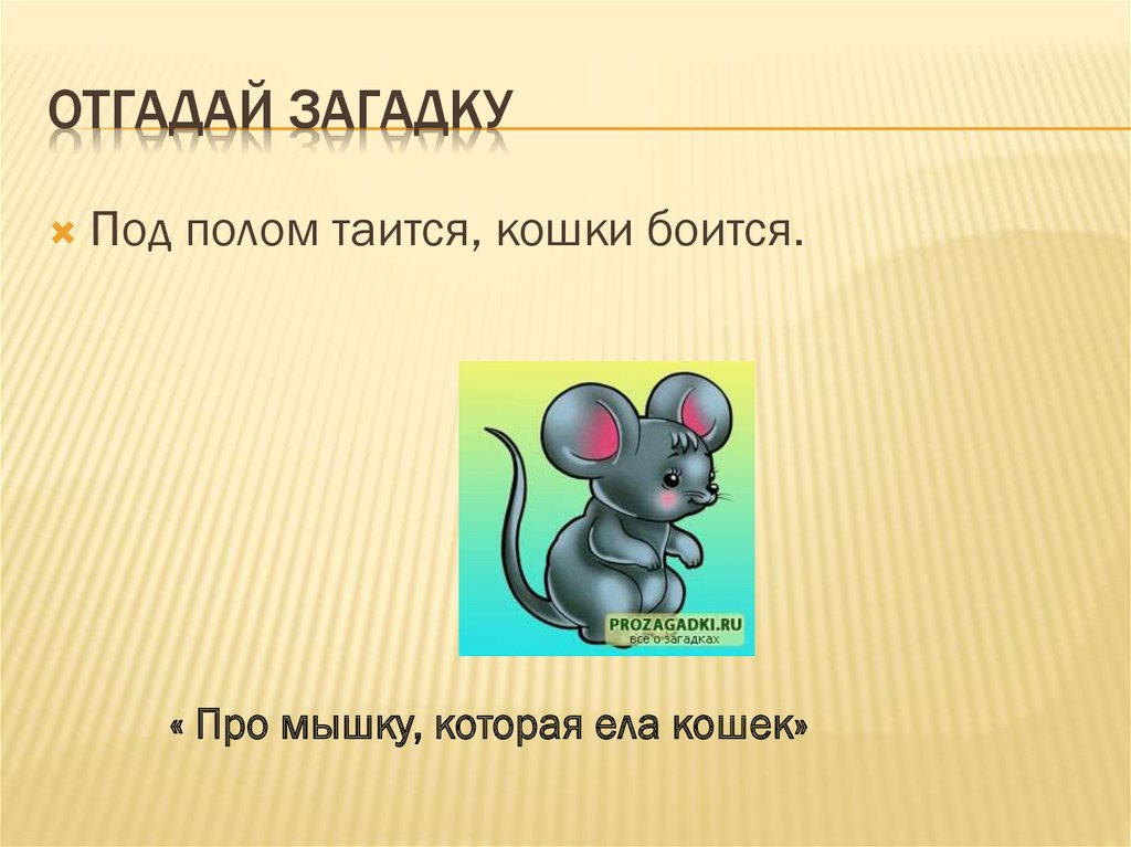 Проект про мышей