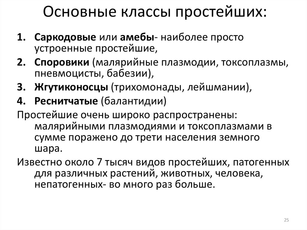 Классы простейших