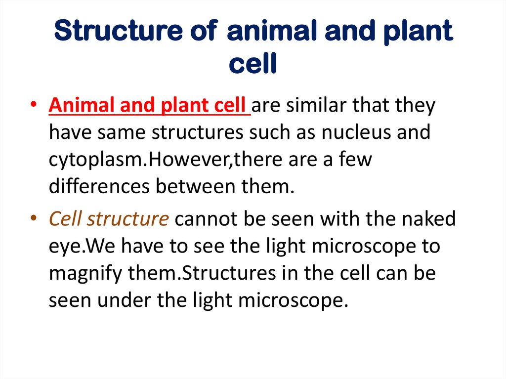 Cell Organization Online Presentation