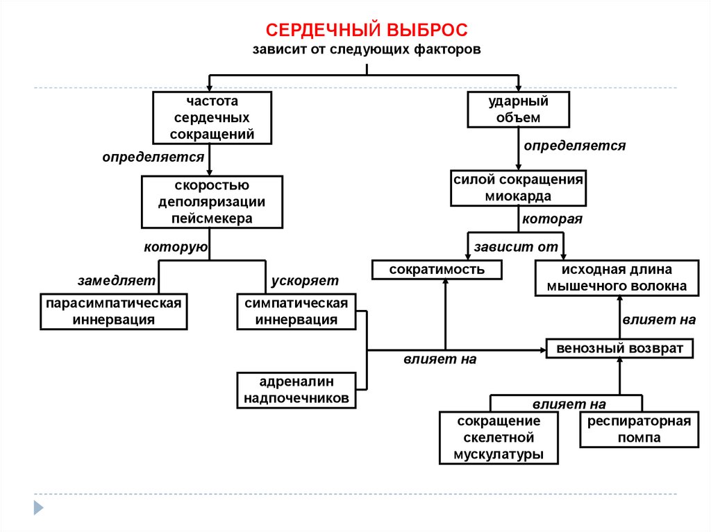 Зависят от следующих факторов. Факторы влияющие на величину сердечного выброса. Факторы влияющие на сердечный выброс. На величину сердечного выброса влияют:. Уменьшение величины сердечного выброса.