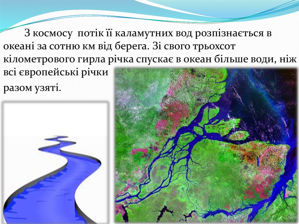 Устье и дельта. Исток и Устье реки Амазонка. Речная система реки Амазонка рисунок. План реки. Амазонка река мифы и легенды.