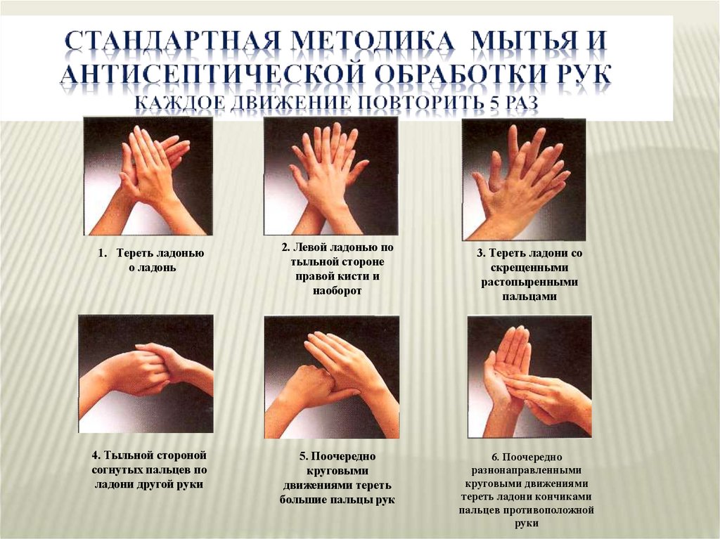 Стандартная методика мытья и антисептической обработки рук каждое движение повторить 5 раз