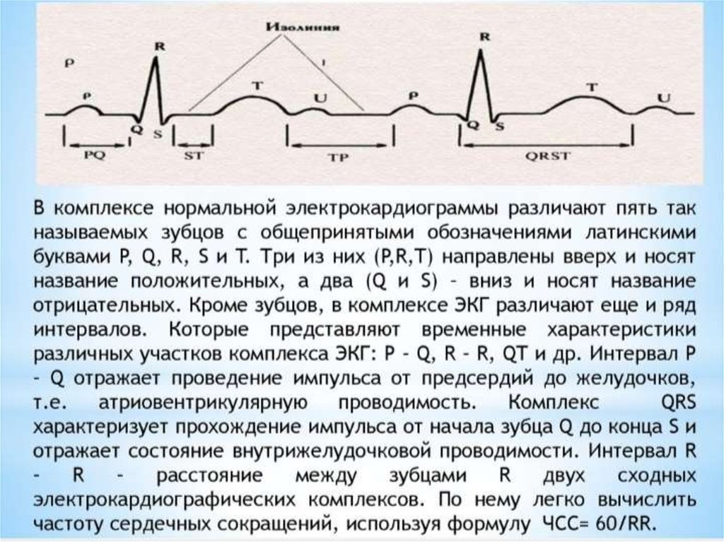 Сердечный комплекс. Комплекс ЭКГ. Комплекс зубцов ЭКГ. Нормальный комплекс ЭКГ. Временные характеристики зубцов и интервалов ЭКГ.