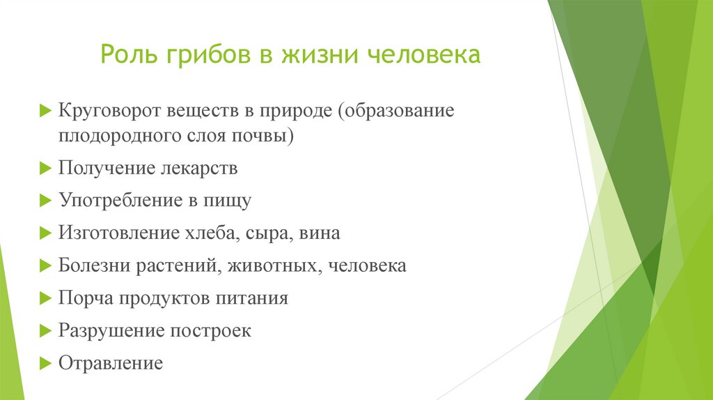 Грибы и их значение в природе и жизни человека презентация 7 класс