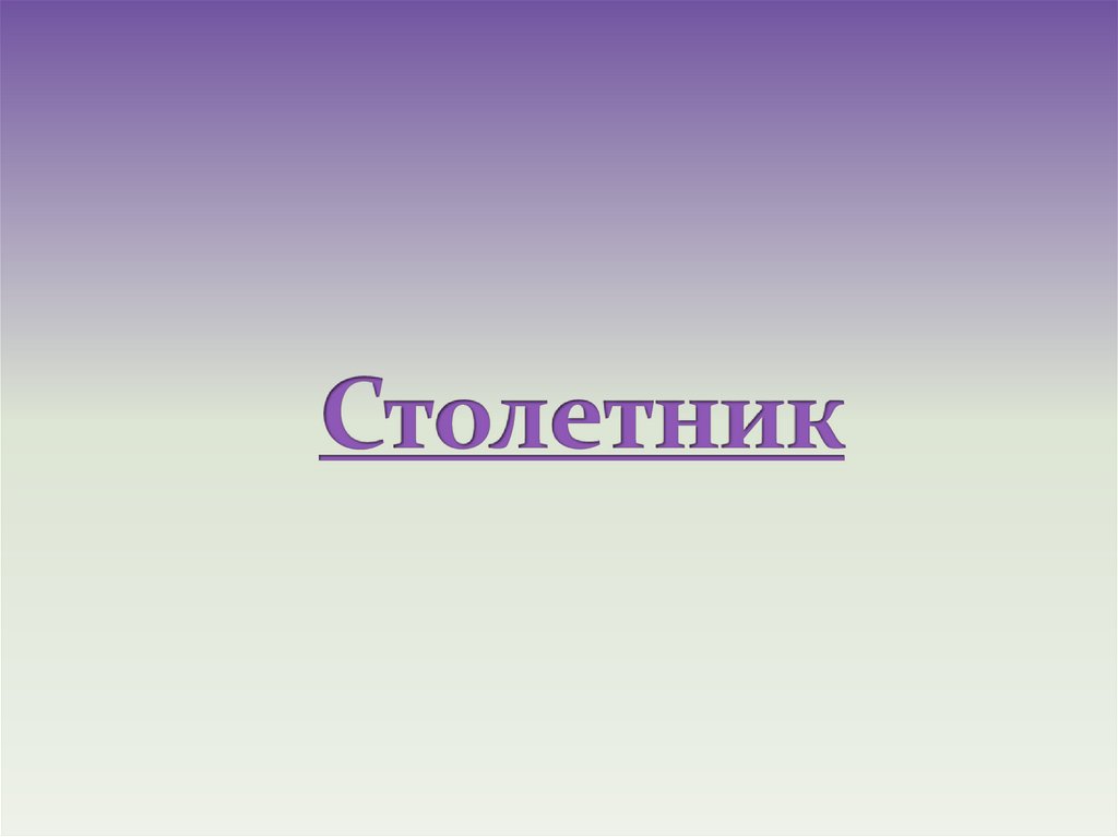 Столетник