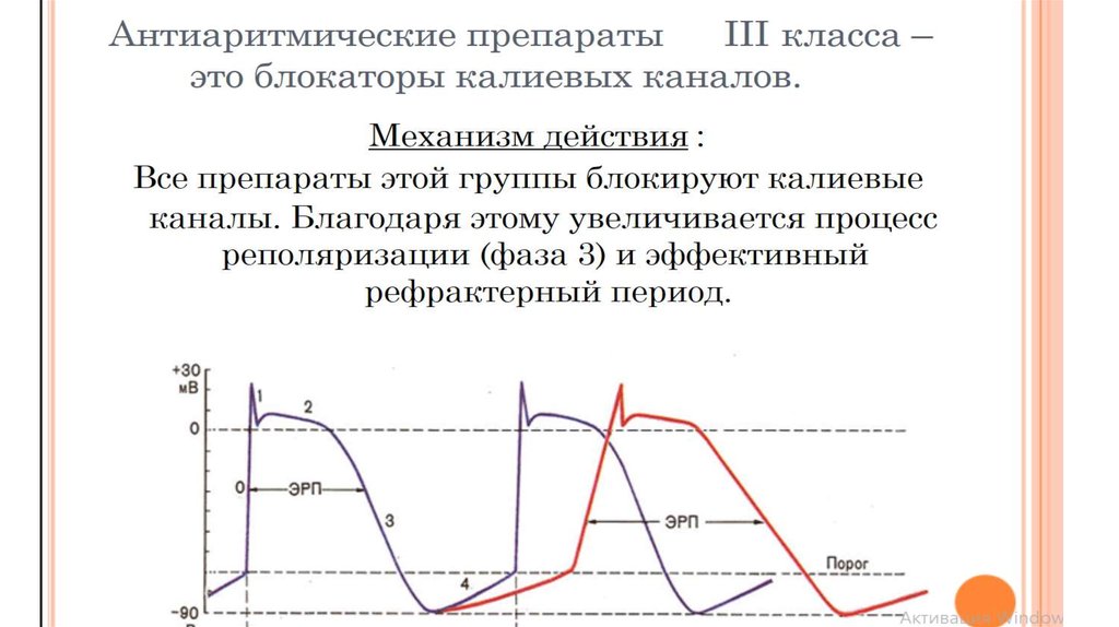 Антиаритмик 3 класса. Антиаритмические препараты III класса. Антиаритмические препараты 3 класса. Антиаритмики 3 класса. Антиаритмики 3 класса механизм действия.