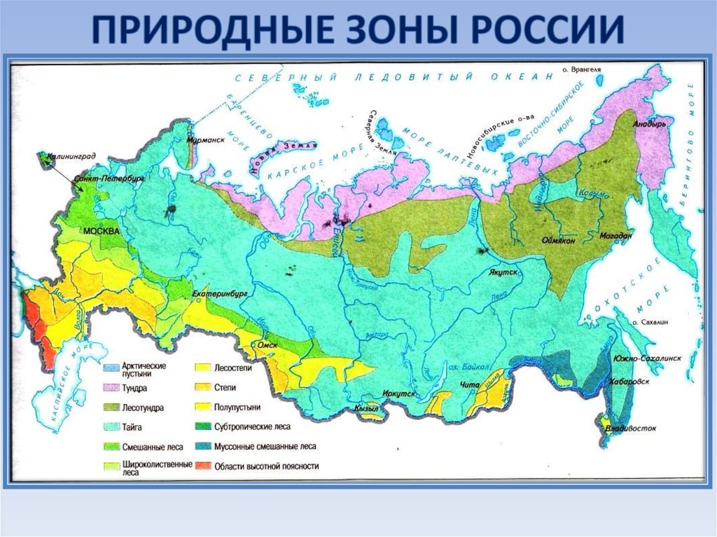 В каком климатическом поясе расположена зона степей