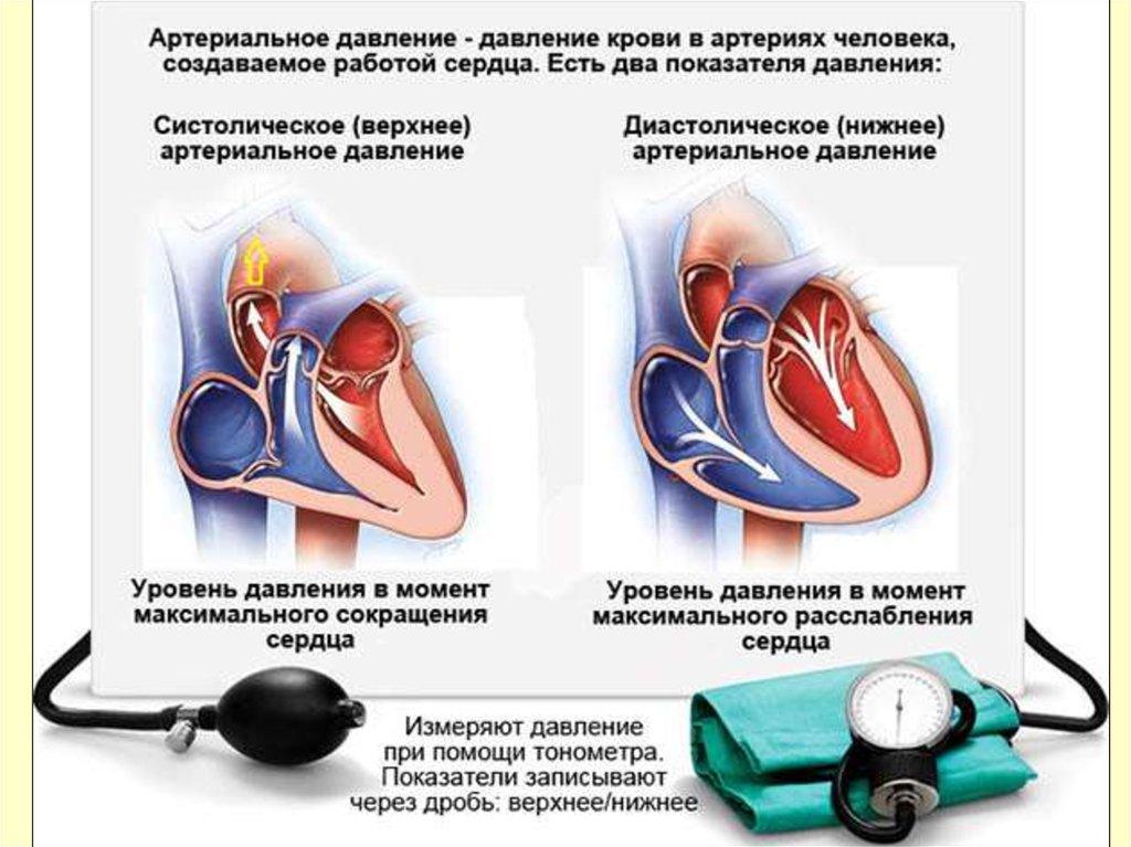 Повышенное сердечное давление что делать. Артериальное кровяное давление. Ад артериальное давление. Показатели артериального давления. Повышение и понижение артериального давления.