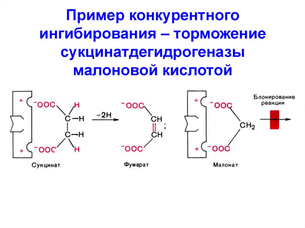 Схема конкурентного ингибирования