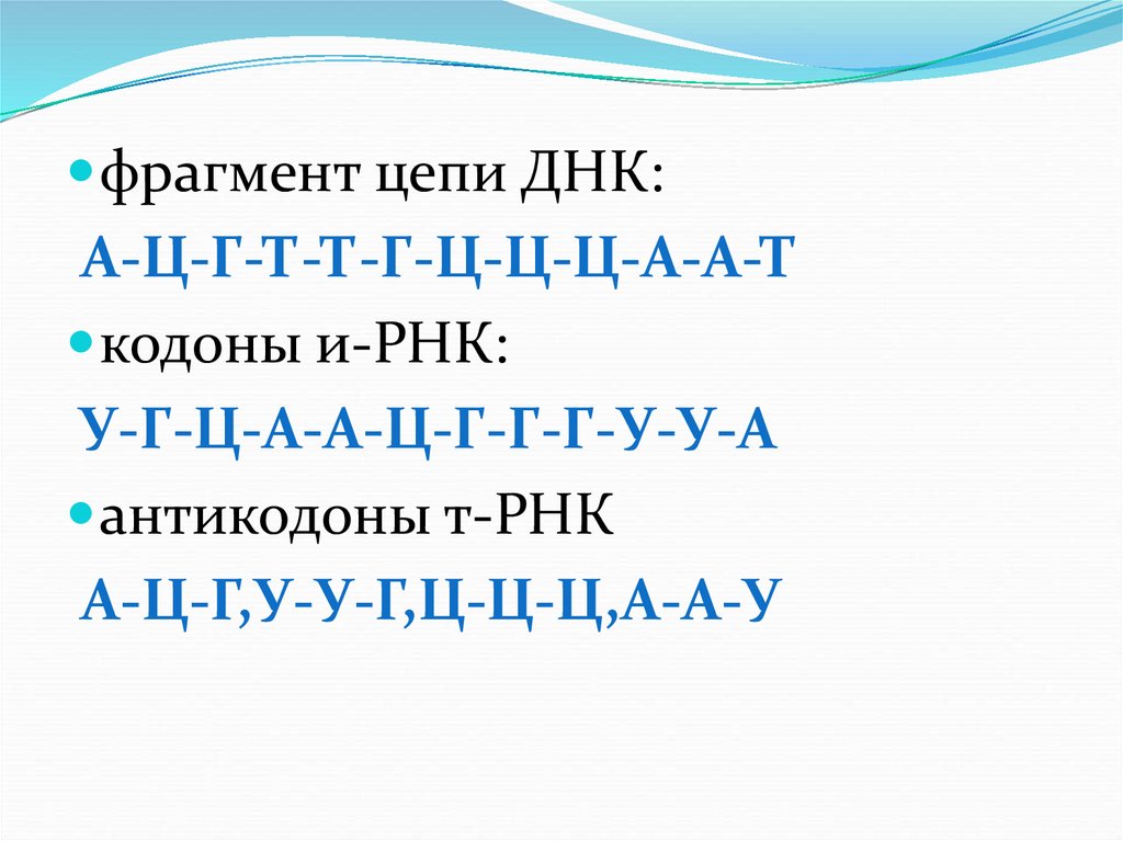 Антикодоны т рнк комплементарны