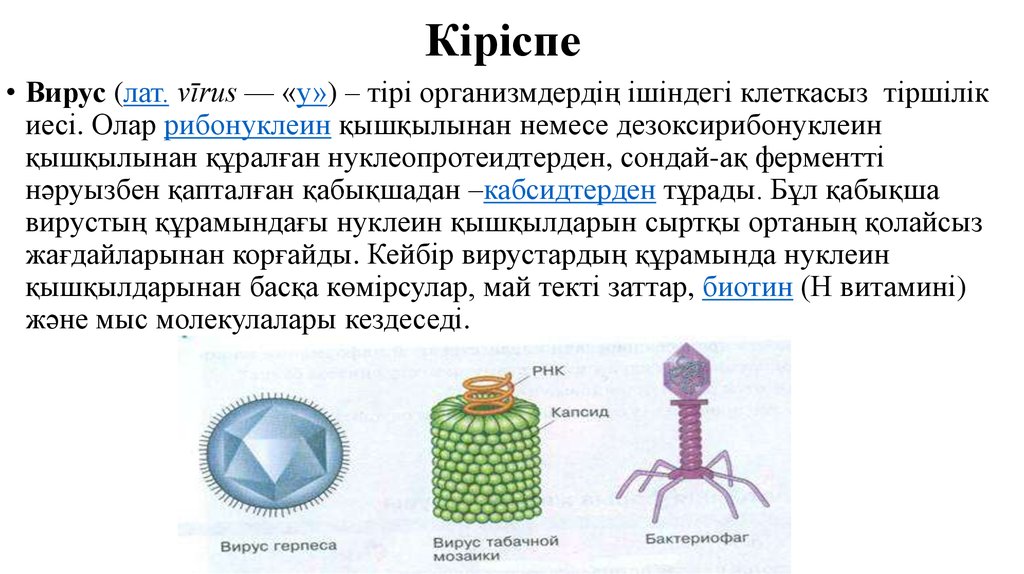 Презентация по ковид 19