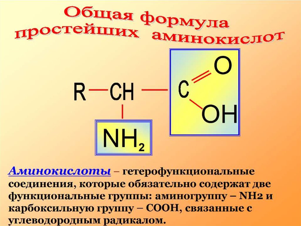 Строение аминокислоты схема