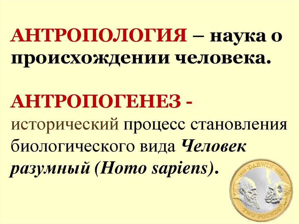 Антропология тексты. Антропология как наука. Антропология это наука изучающая. Антропология человека. Антропология понятия.