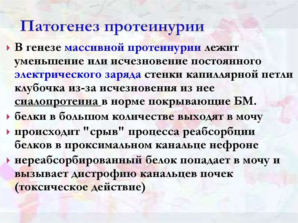 Генез. Протеинурия патогенез. Механизм развития протеинурии. Механизм возникновения протеинурии. Протеинурия этиология.