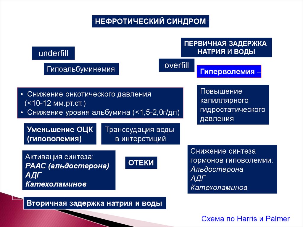 Нефротический криз презентация