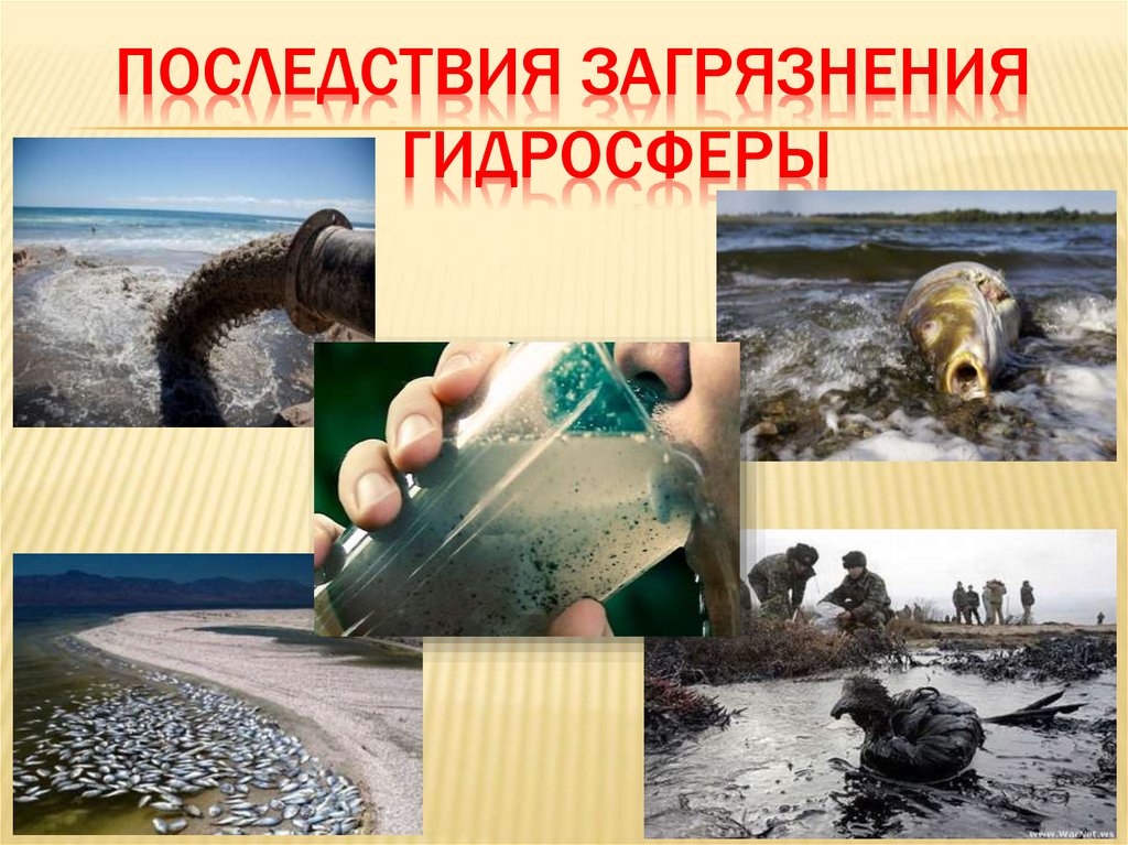 Последствия загрязнения воды рисунок