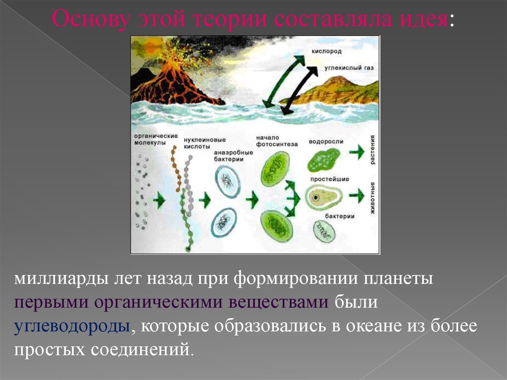 Этапы зарождения жизни опарина первичный бульон