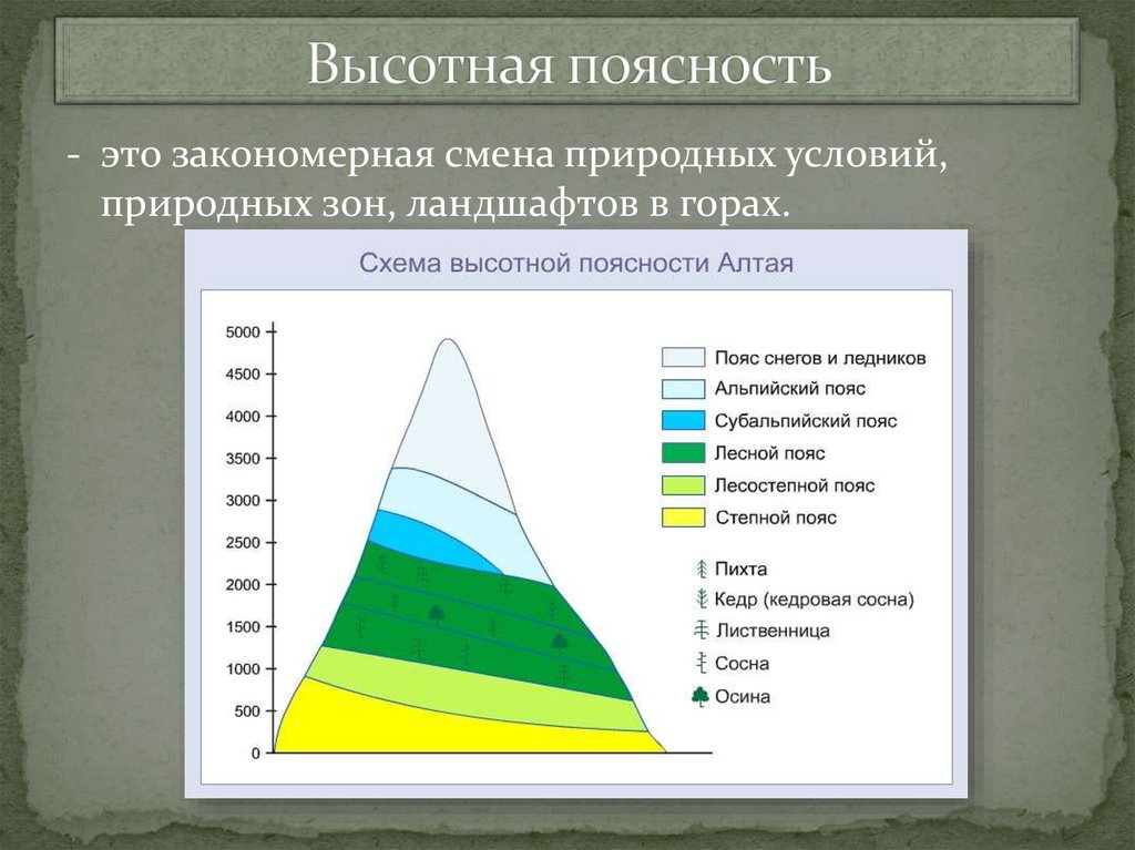 Природные зоны кавказских гор таблица. Высотная поясность географический пояс. Схема ВЫСОТНОЙ поясности Алтая. Высотная поясность Сихотэ-Алинь. Высотная поясность в горах Алтая.