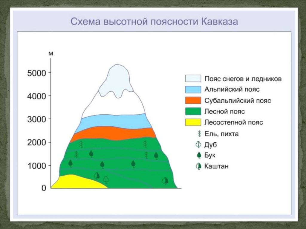 Природные зоны кавказских гор таблица