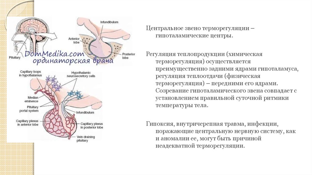 Карта вызова гипертермия