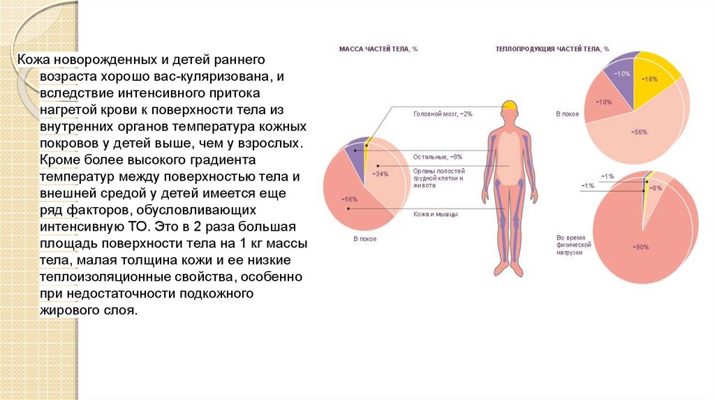 Кожная температура тела. Особенности терморегуляции у грудничков. Терморегуляция дошкольный Возраст. Терморегуляция новорожденных физиология. Возрастные особенности терморегуляции.