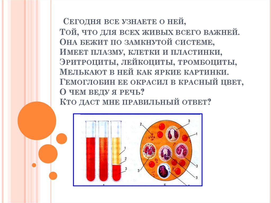 Внутренняя среда организма 8 класс тест ответы