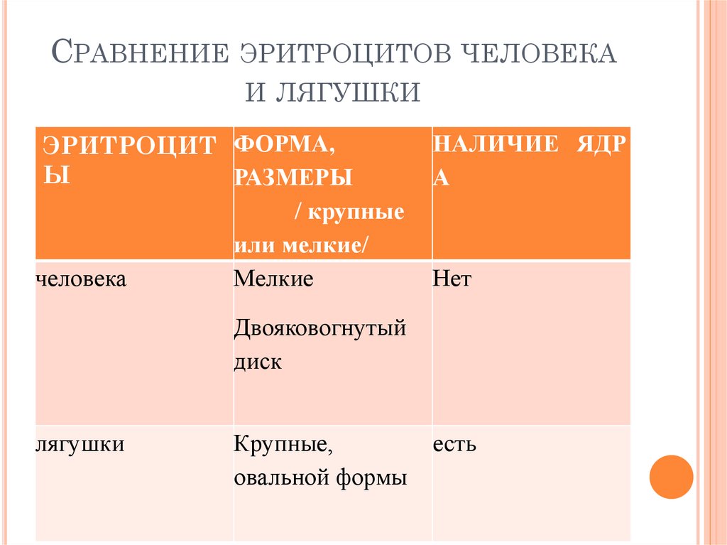 Эритроциты лягушки и человека сравнение. Сравните эритроциты человека и лягушки. Сравнение литроцитов человек и лягушки. Сравнение эритроцитов человека и эритроцитов лягушки.