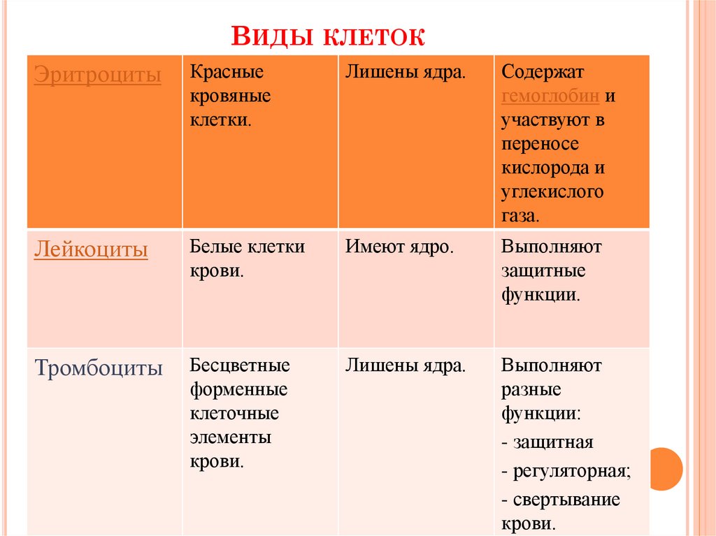 Виды клеток таблица