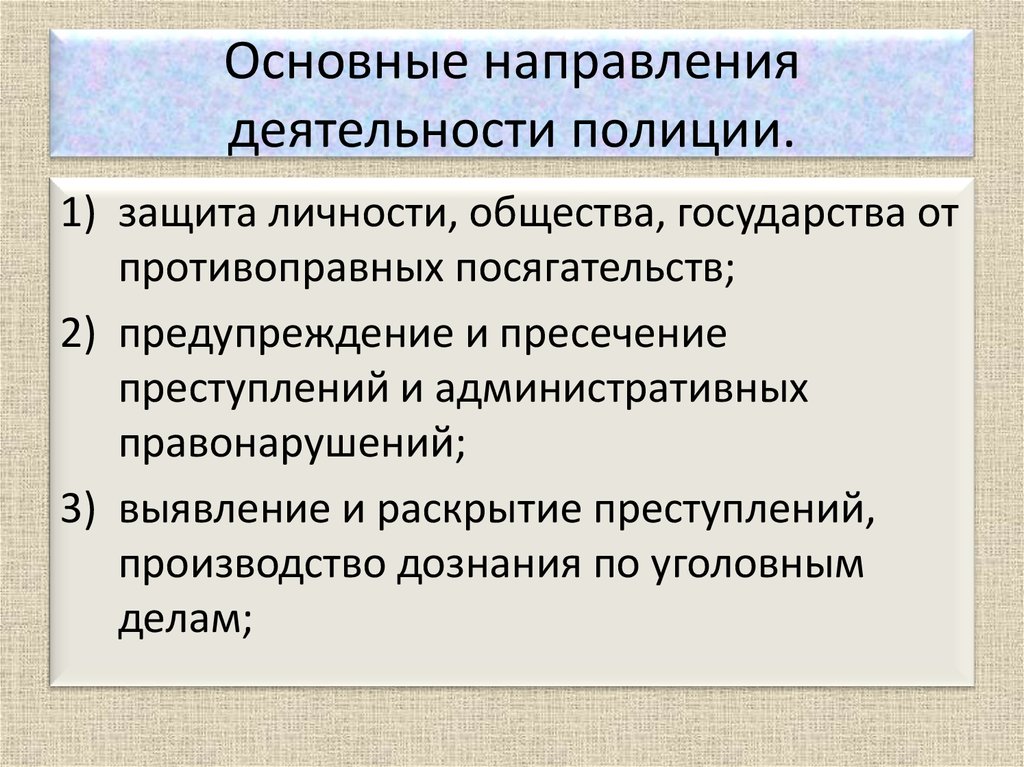 Каковы основные направления деятельности полиции