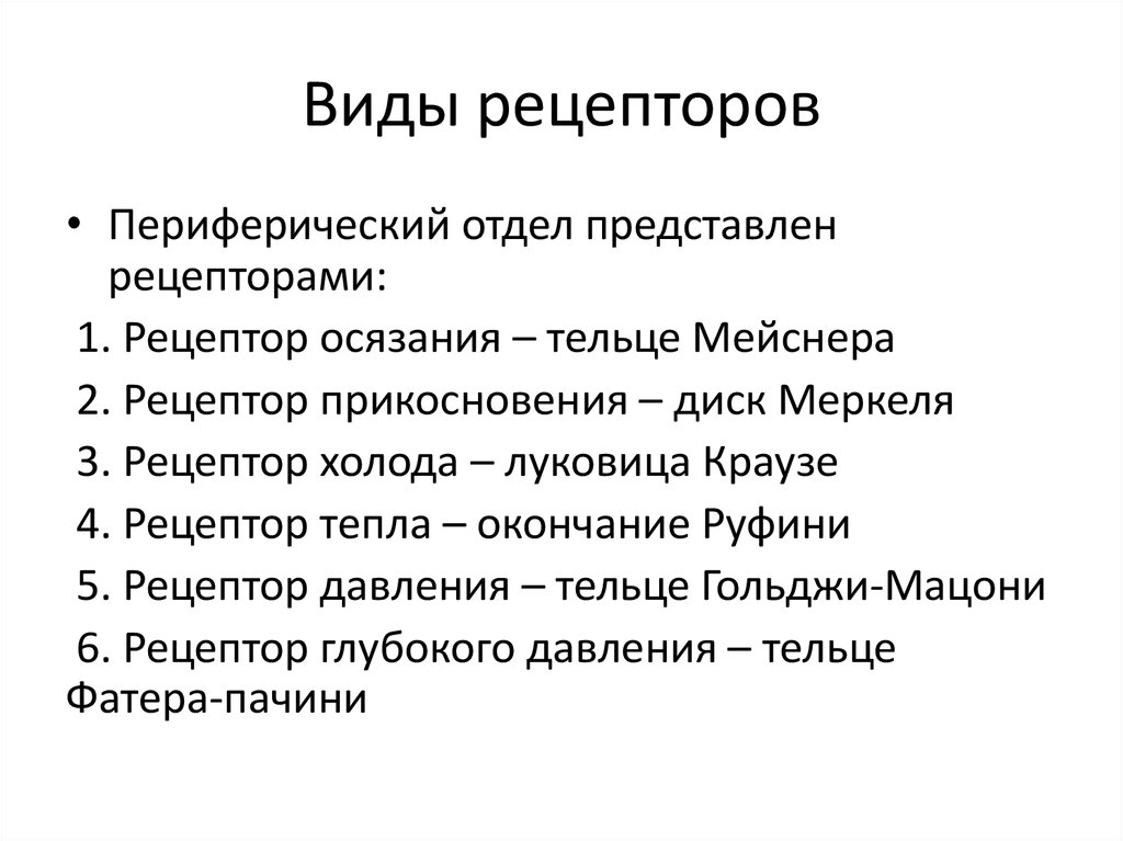 Рецепторы человека