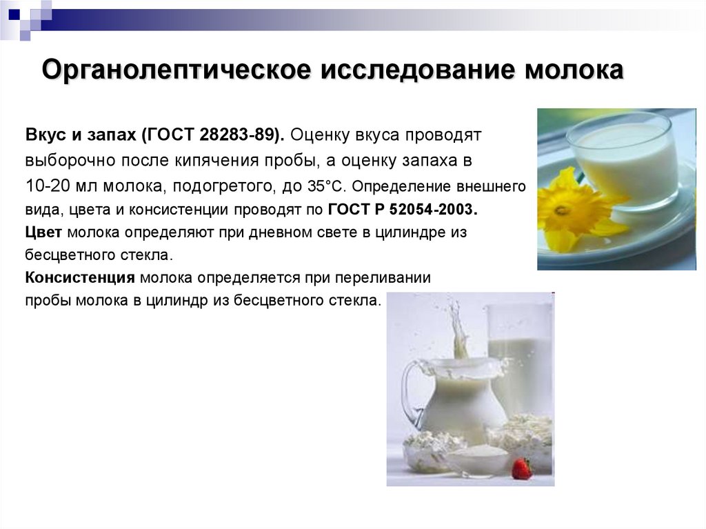 Оценка запаха и вкуса. Методы исследования качества молока. Органолептическое исследование молока. Исследование качества молока. Органолептическая оценка молока.