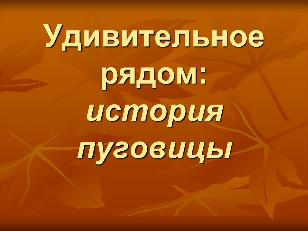 Презентация удивительное рядом